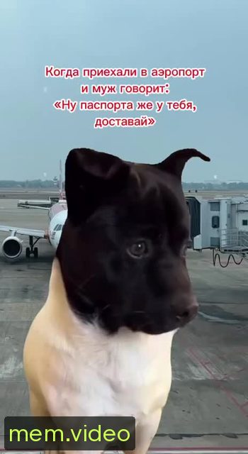 Кадр на 0:00