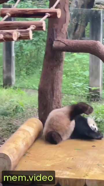 Кадр на 0:05