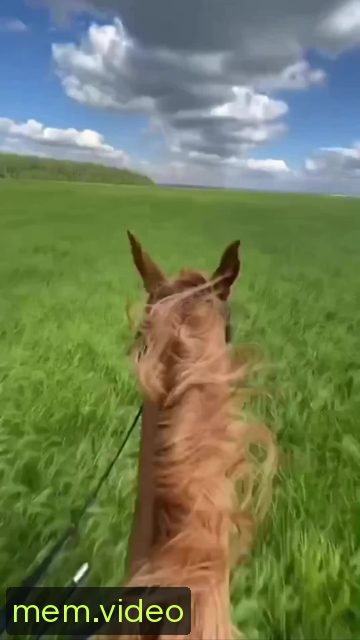 Кадр на 0:02