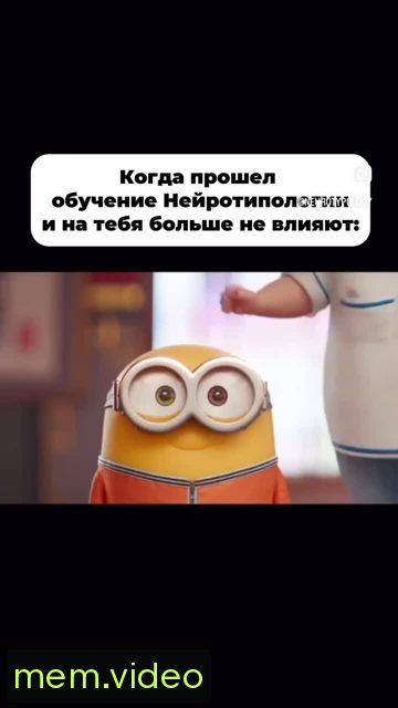 Кадр на 0:00