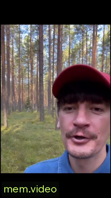 Кадр на 0:00