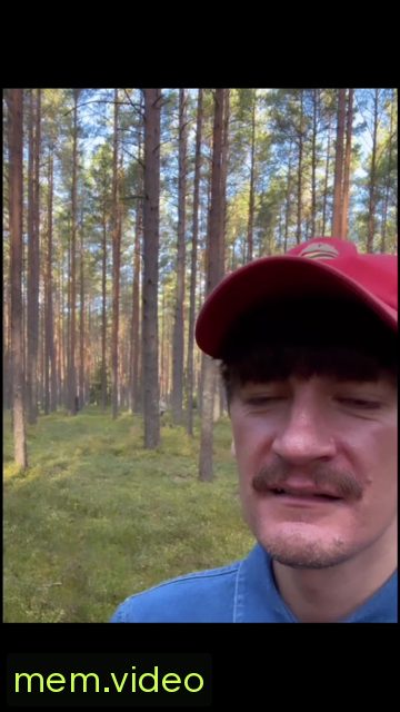 Кадр на 0:15
