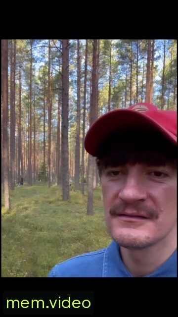 Кадр на 0:16