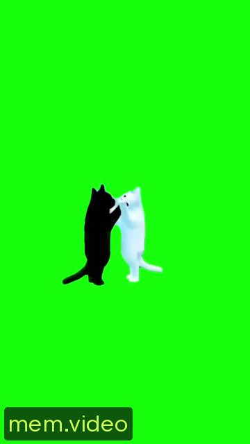 Кадр на 0:00