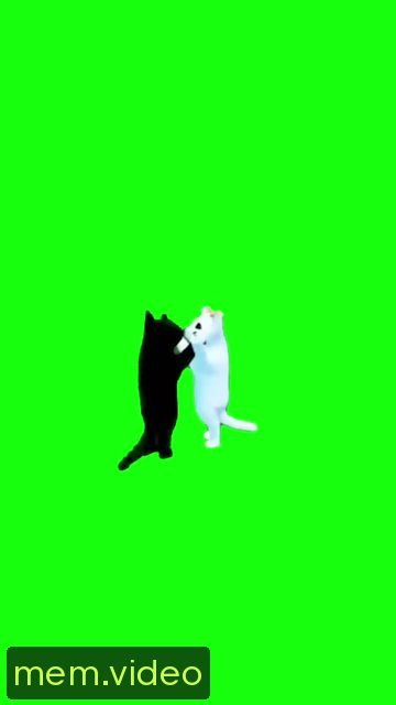 Кадр на 0:06