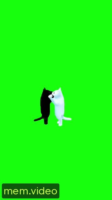 Кадр на 0:10