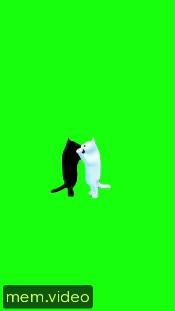 Кадр на 0:14