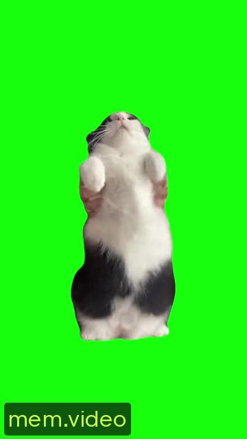 Кадр на 0:02