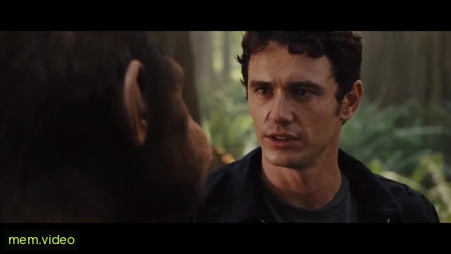 Кадр на 0:24