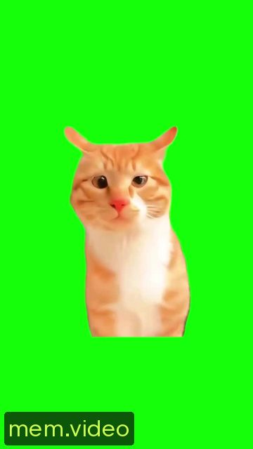Кадр на 0:00