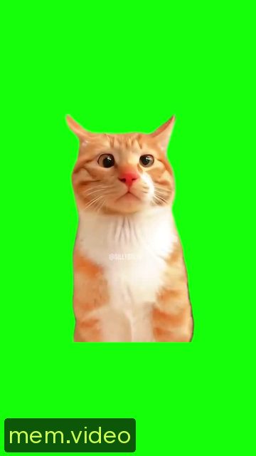 Кадр на 0:04