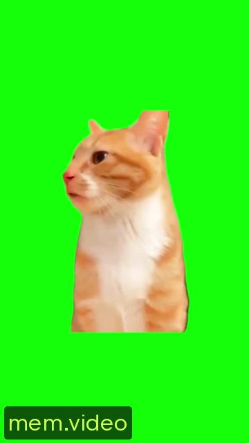 Кадр на 0:05