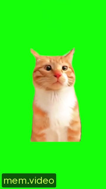 Кадр на 0:06