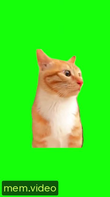 Кадр на 0:08