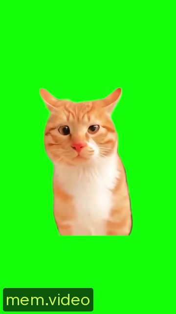 Кадр на 0:10