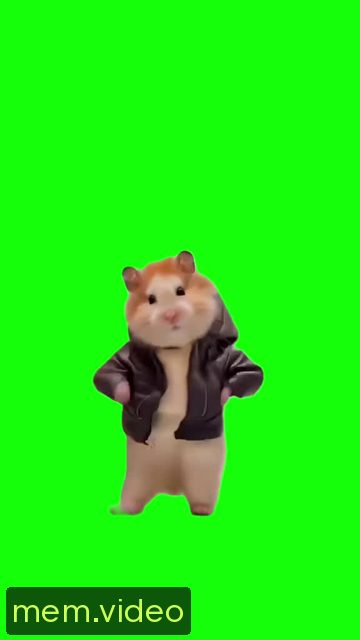 Кадр на 0:17