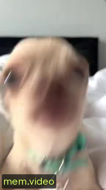 Кадр на 0:03