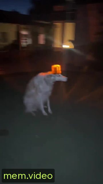 Кадр на 0:02