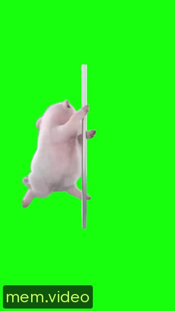 Кадр на 0:02