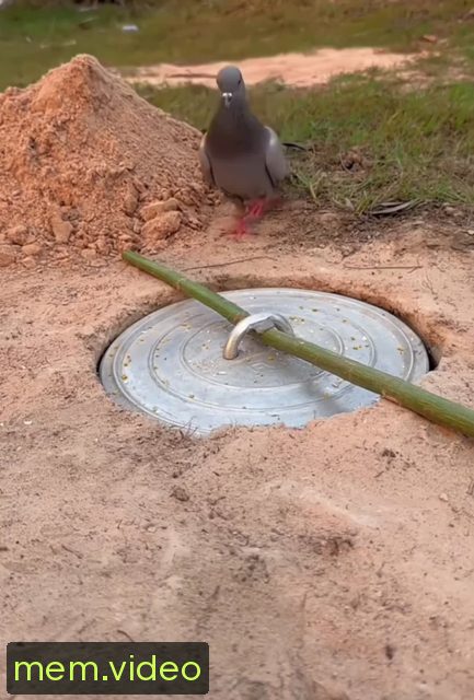 Кадр на 0:00