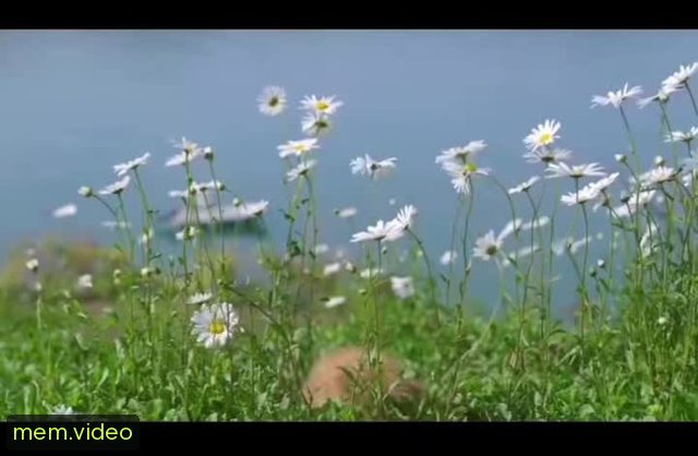 Кадр на 0:02