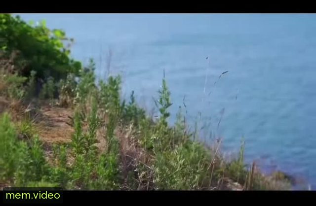 Кадр на 0:07