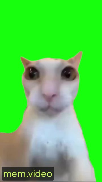 Кадр на 0:00