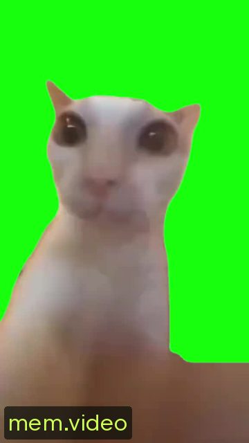 Кадр на 0:00