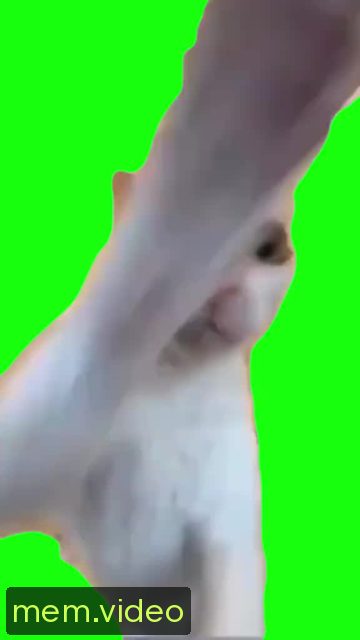 Кадр на 0:01