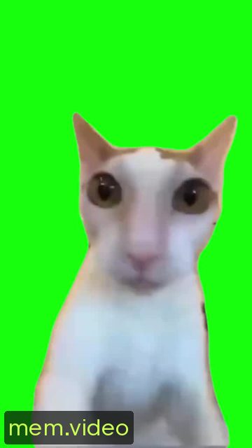 Кадр на 0:02
