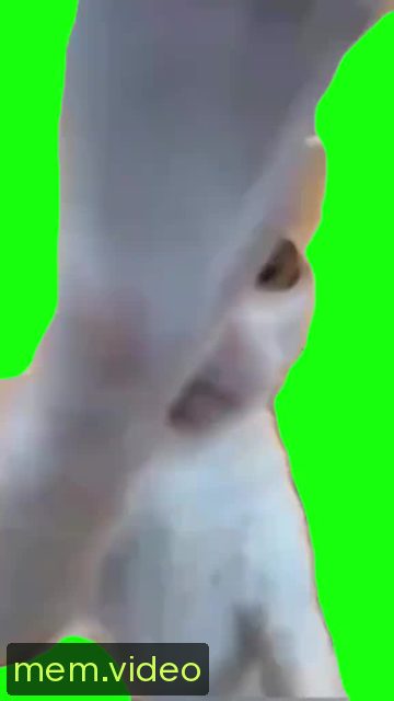 Кадр на 0:03