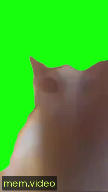 Кадр на 0:04