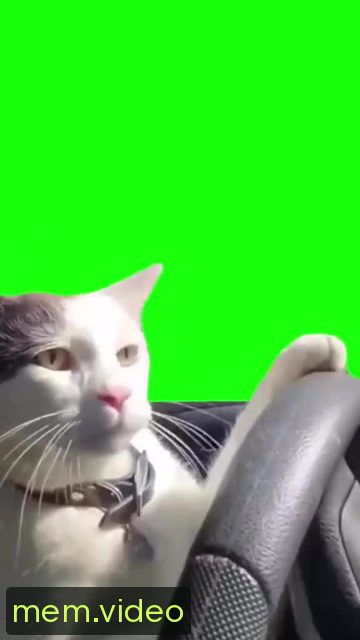 Кадр на 0:00