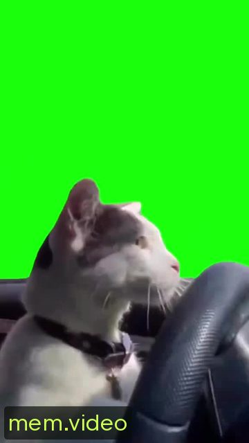 Кадр на 0:01