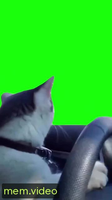 Кадр на 0:02