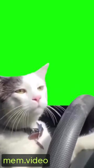 Кадр на 0:04