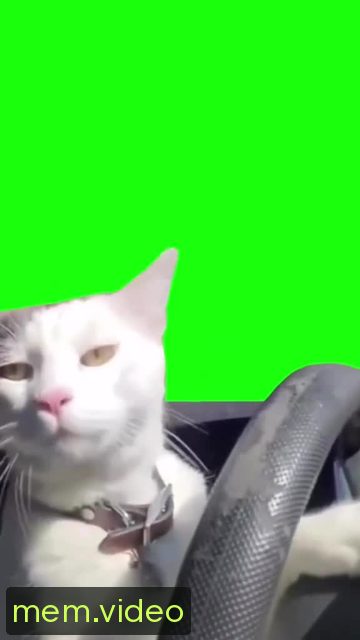 Кадр на 0:05