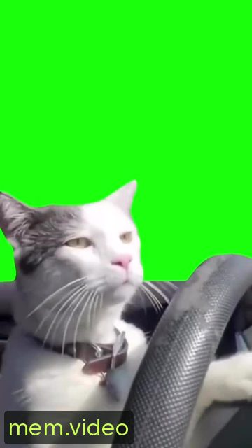 Кадр на 0:06