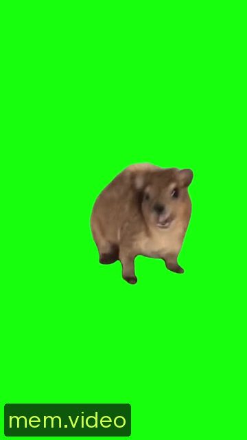 Кадр на 0:00
