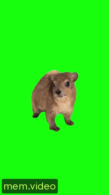 Кадр на 0:01