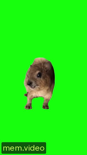 Кадр на 0:03