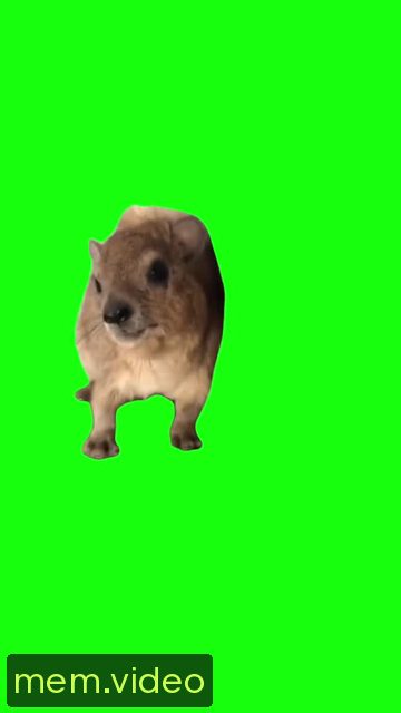 Кадр на 0:04