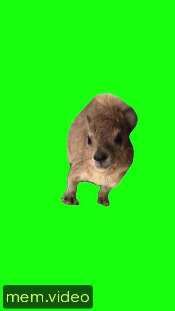 Кадр на 0:05