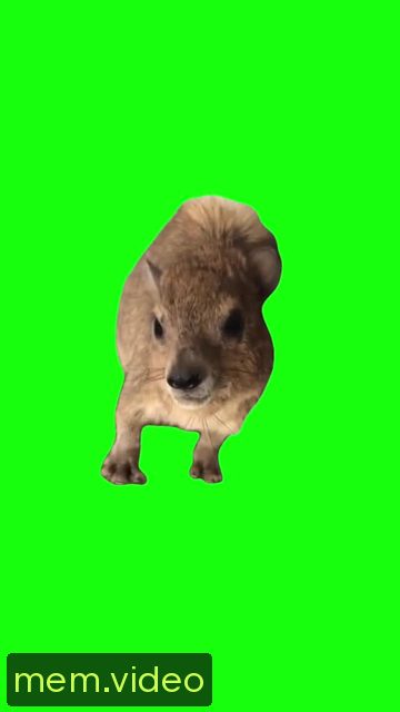 Кадр на 0:07