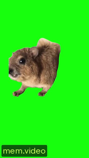 Кадр на 0:08