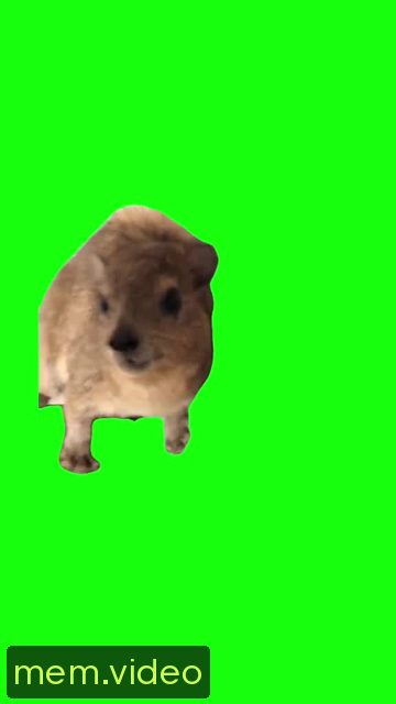 Кадр на 0:12