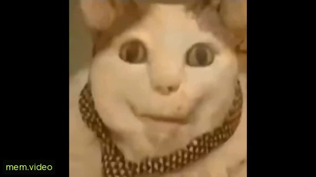 Кадр на 0:00