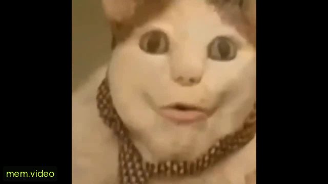 Кадр на 0:15