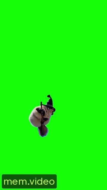 Кадр на 0:03
