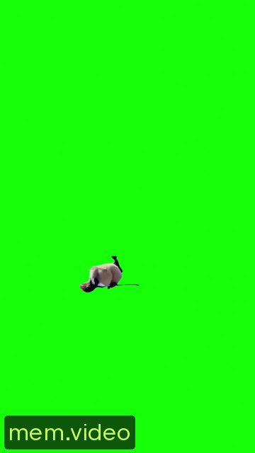 Кадр на 0:04